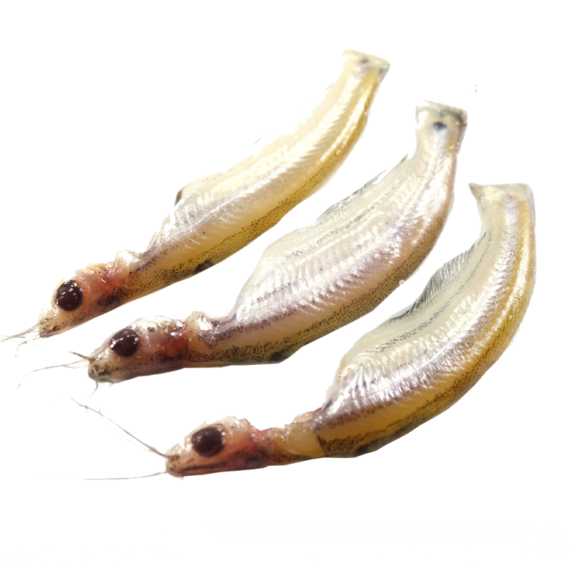 BATASHI