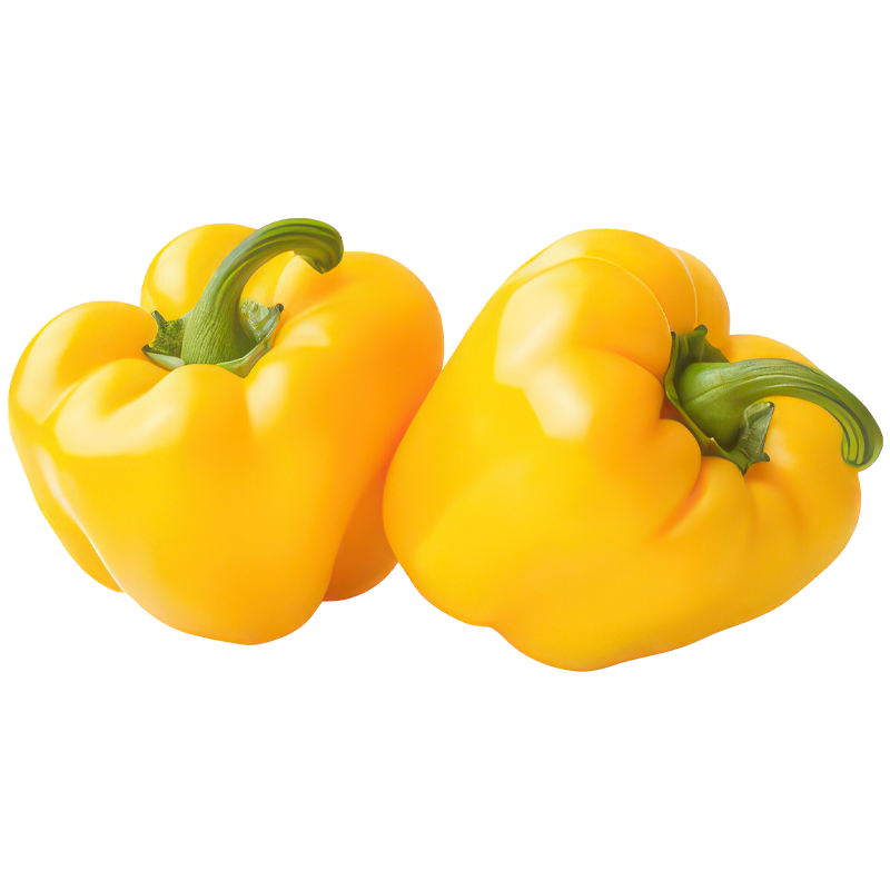Capsicum