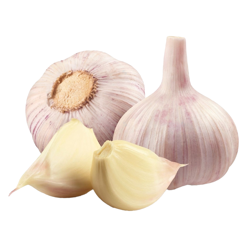 Garlic