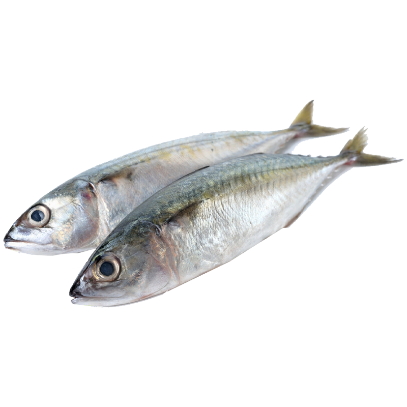Kangala