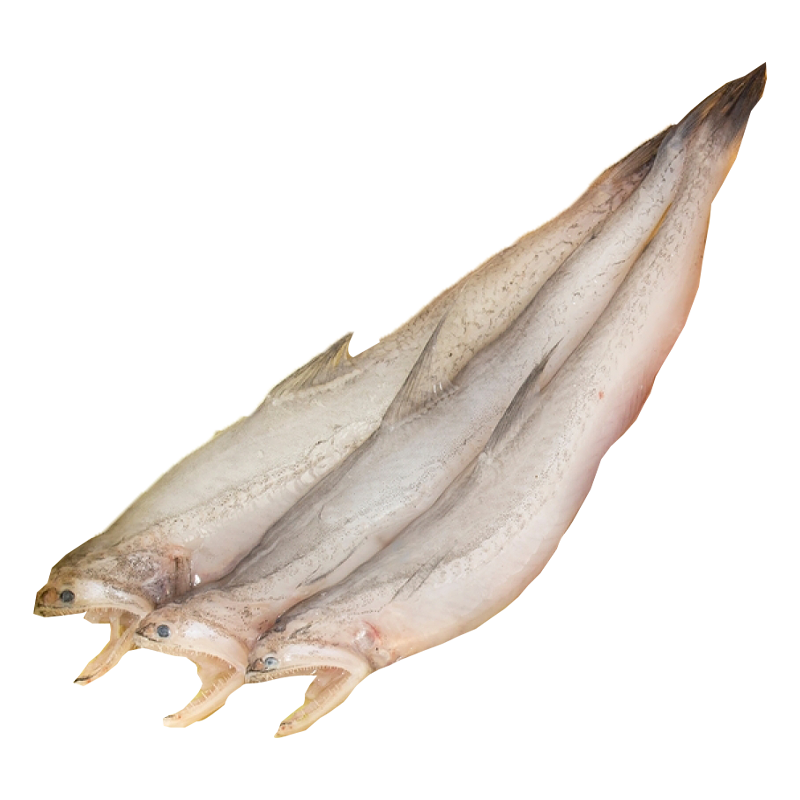 LOITAL