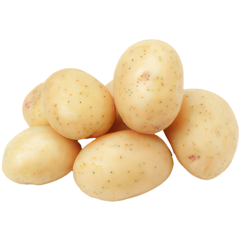 Potato