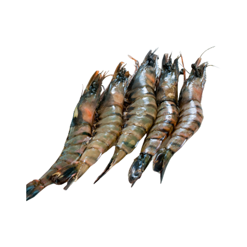 Prawn