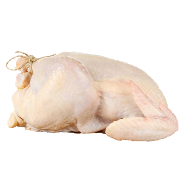 CHICKEN WHOLE 1200G 12 KG *1 CTN