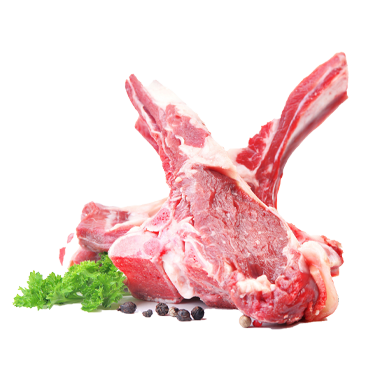 BEEF NECK BONE