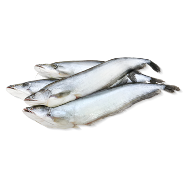 BOAL-L 22 KG*1 CTN (PA 111122)