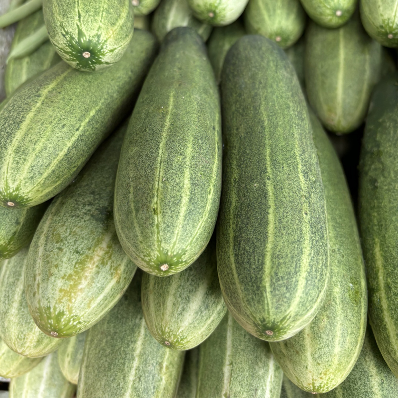 cucumber